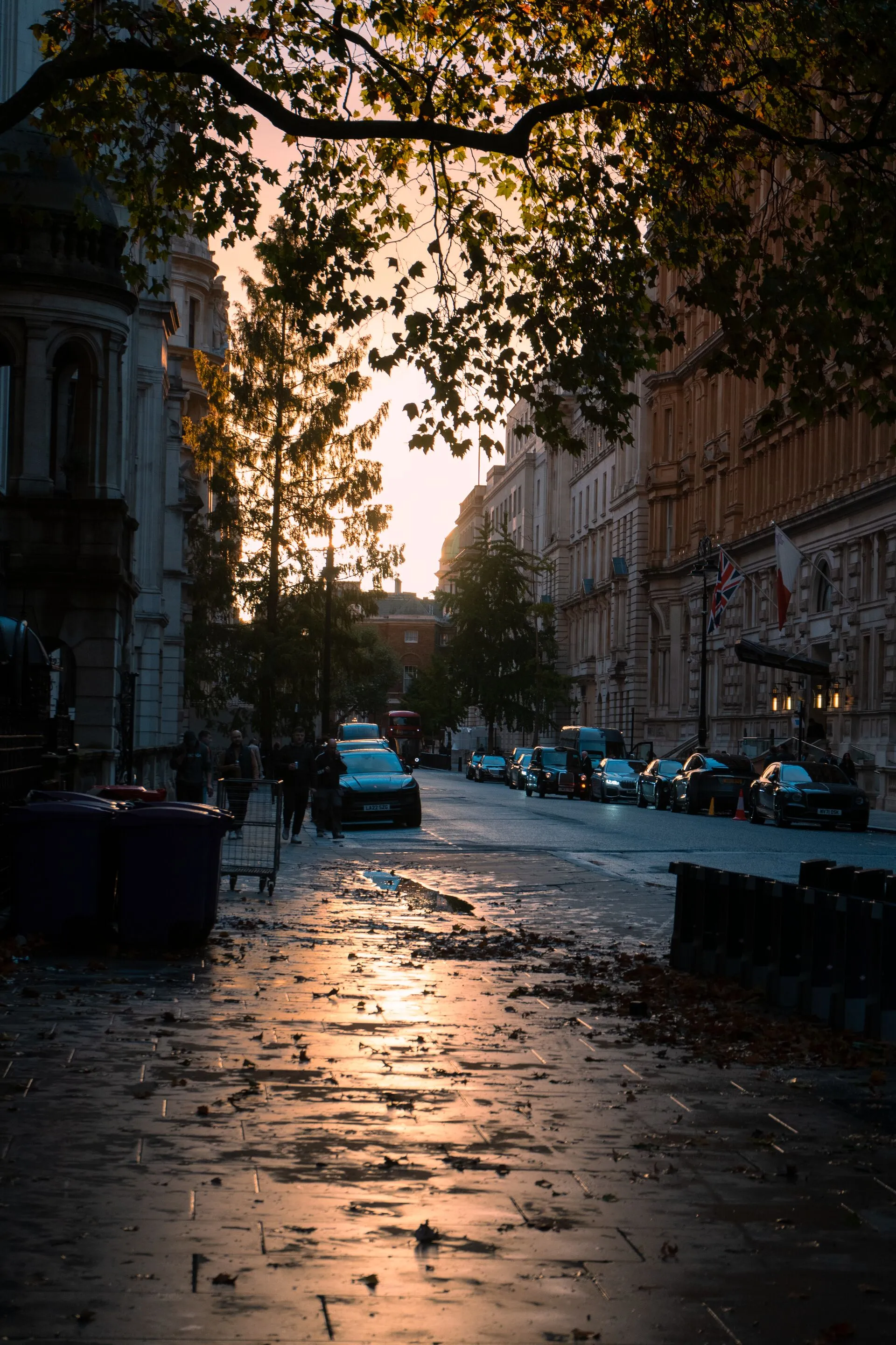 Golden Hour